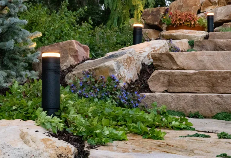 Weatherproof Entertainment that Wows