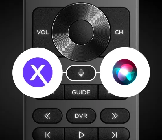Innovative Voice Functionality